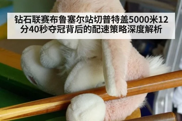 钻石联赛布鲁塞尔站切普特盖5000米12分40秒夺冠背后的配速策略深度解析