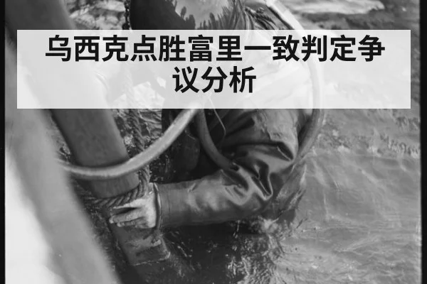 乌西克点胜富里一致判定争议分析